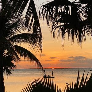 Meet your Posher, Bari